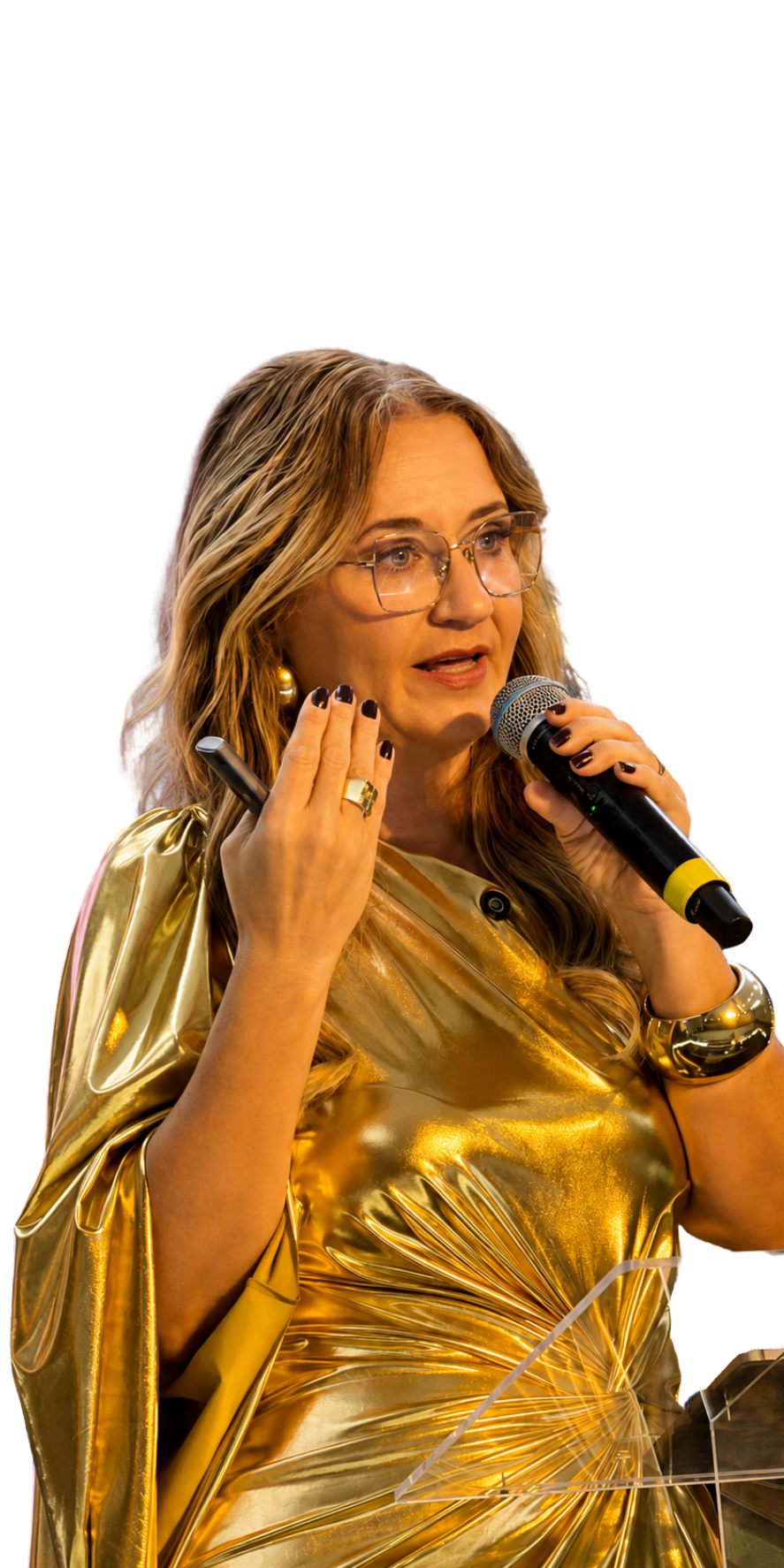 Flávia Campos palestrando
